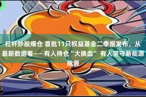 杠杆炒股爆仓 首批11只权益基金二季报发布，从最新数据看—— 有人持仓“大换血” 有人坚守新能源