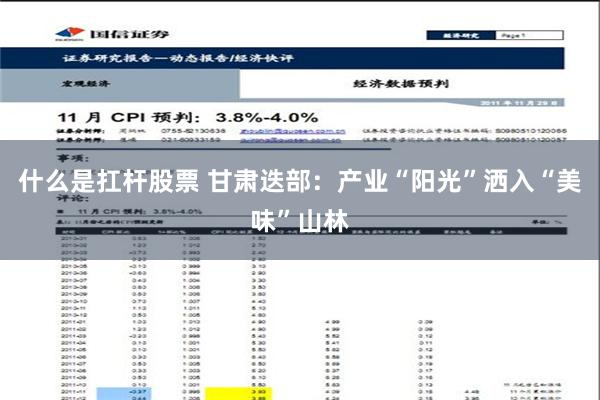 什么是扛杆股票 甘肃迭部：产业“阳光”洒入“美味”山林