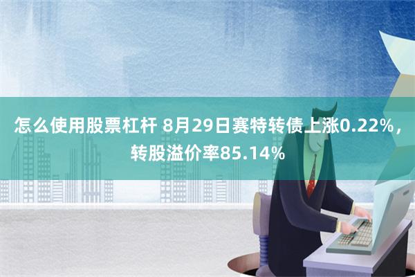 怎么使用股票杠杆 8月29日赛特转债上涨0.22%，转股溢价率85.14%