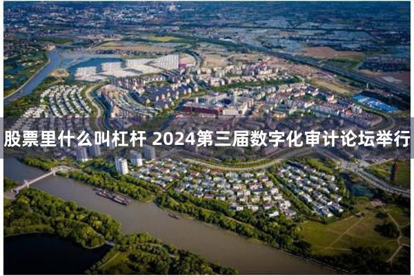 股票里什么叫杠杆 2024第三届数字化审计论坛举行