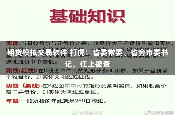 期货模拟交易软件 打虎！省委常委、省会市委书记，任上被查