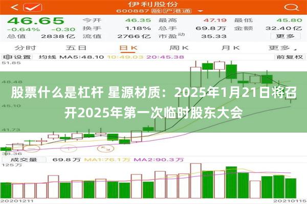 股票什么是杠杆 星源材质：2025年1月21日将召开2025年第一次临时股东大会